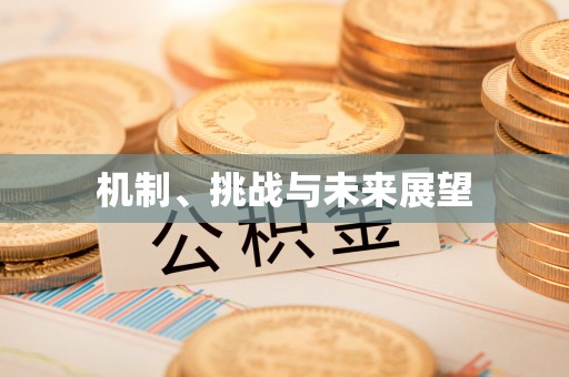 宝坻机制、挑战与未来展望
